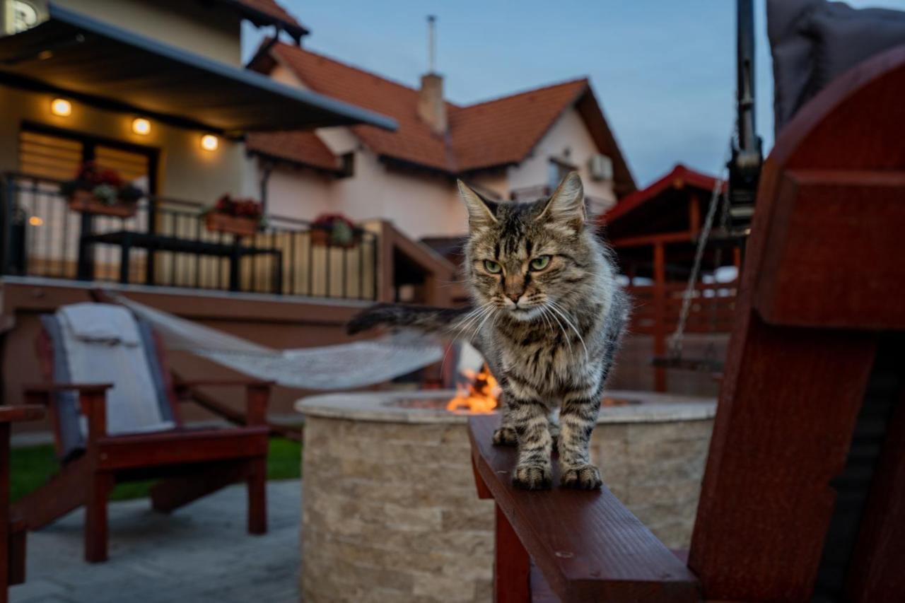 Roots Villa Redwood Brasov Bagian luar foto